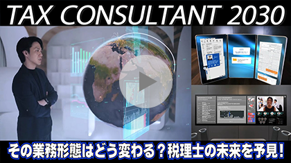 TAX CONSULTANT 2030