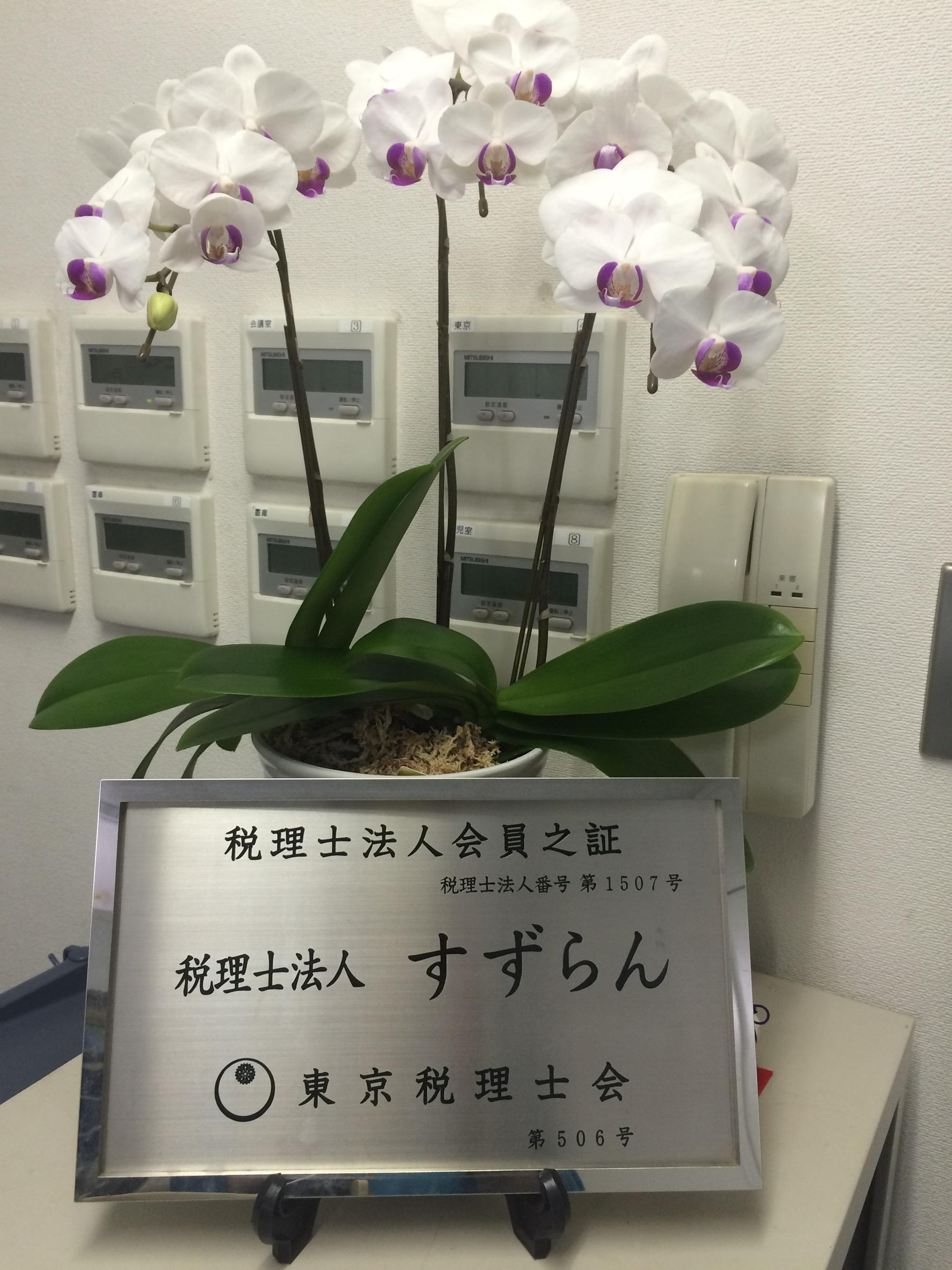 働きながら税理士試験合格を目指しましょう!