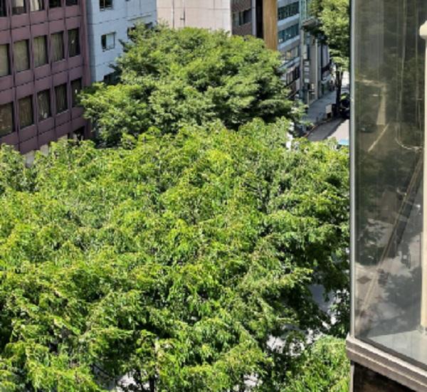 渋谷で一緒に働けるのを楽しみにしています!