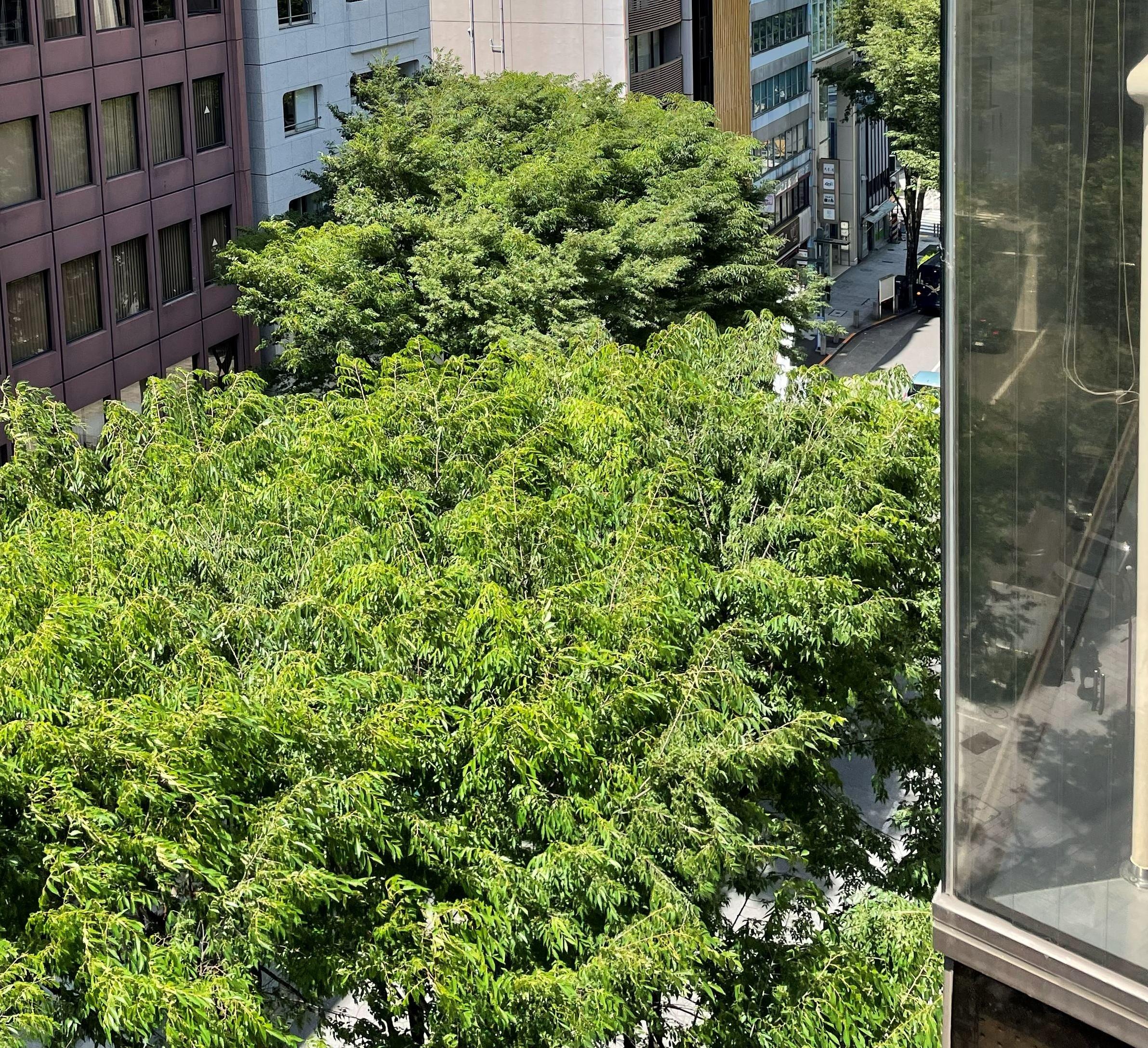 渋谷で一緒に働けるのを楽しみにしています!